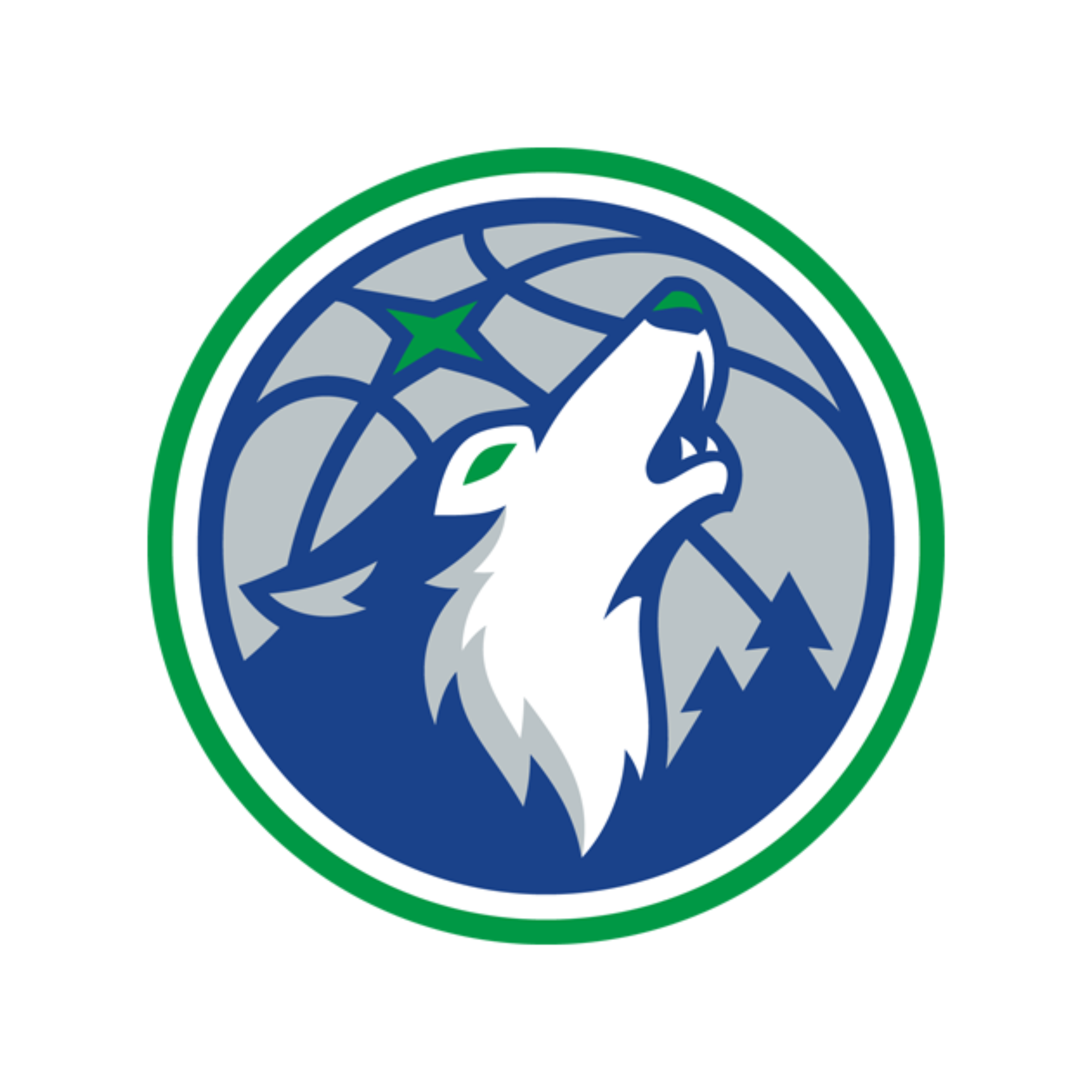 Minnesota Timberwolves
